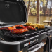 Weber TRAVELER Compact